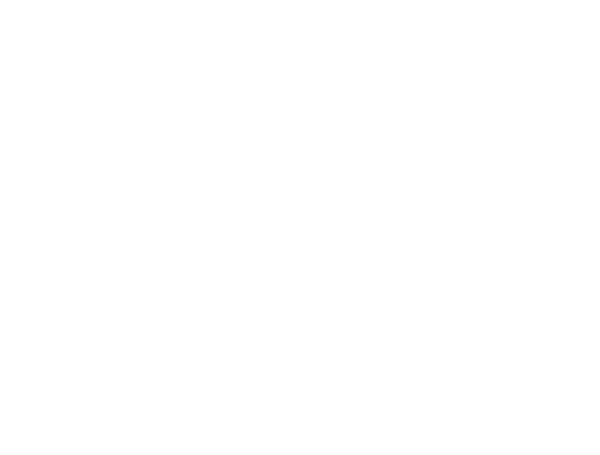 greenbushes-spodumene-concentrator_01